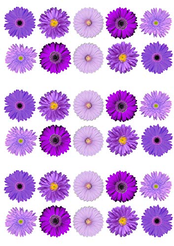 Top That: 30 lila Gerbera-Blumen, Kuchendekoration, essbares Oblatenpapier, Dekoration für Geburtstag, Hochzeit, Babyparty uvm., Purple Top That: 30 lila Gerbera-Blumen, Kuchendekoration, essbares Oblatenpapier, Dekoration für Geburtstag, Hochzeit, Babyparty uvm., Purple von Top That