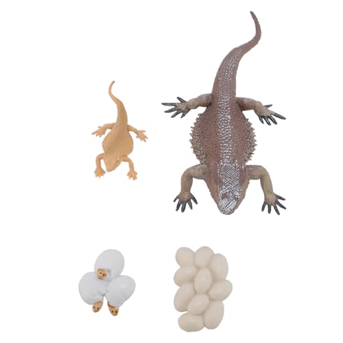 Echsenlernkyklus -Lernbildungspädagogik, Pädagogische Interaktive, Lebensee Simulierte Reptilien -Tier -Figur, Lern- und Bildungsspielzeug, Realistische Figurenspielzeuge Echsenlernkyklus -Lernbildungspädagogik, Pädagogische Interaktive, Lebensee Simulierte Reptilien -Tier -Figur, Lern- und Bildungsspielzeug, Realistische Figurenspielzeuge von Topiky