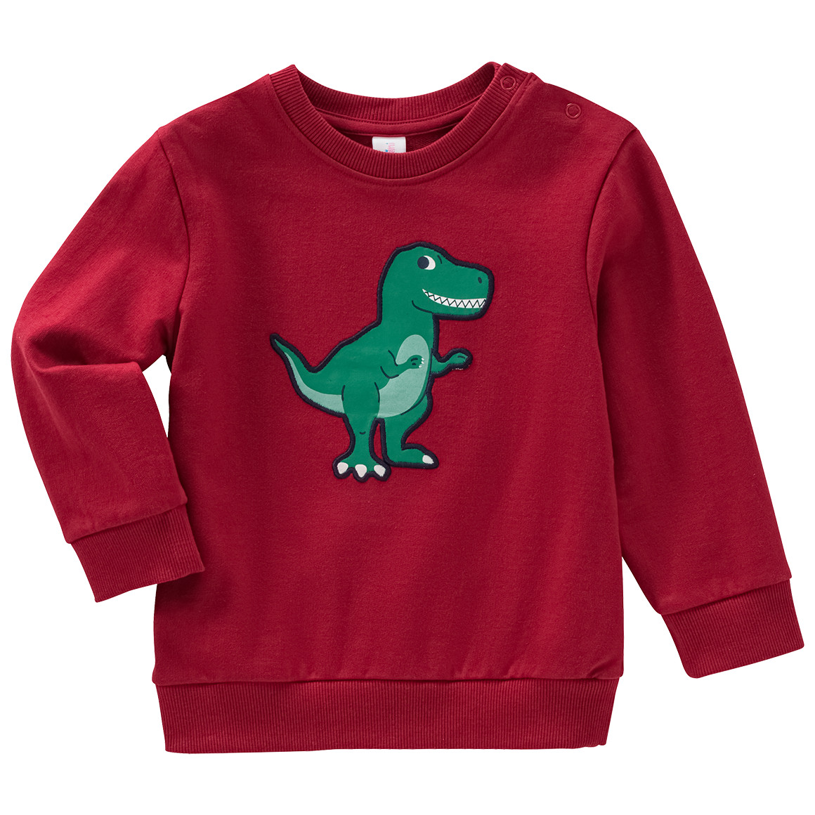 Baby Sweatshirt mit Dino-Applikation von Topomini