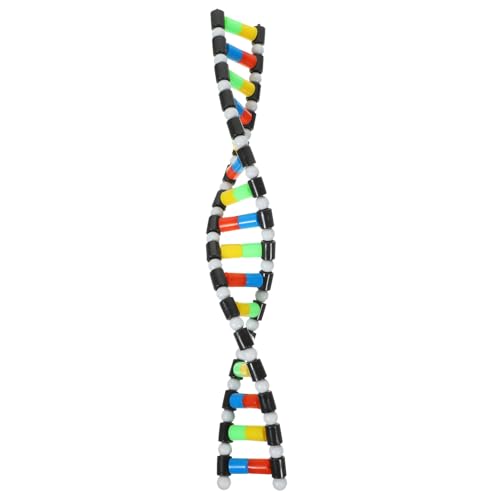 Totority DNA Modell Doppelhelix Strukturmodell für Naturwissenschaftlichen Unterricht Lernspielzeug Kreativität und Entdeckung der Molekularbiologie von Totority