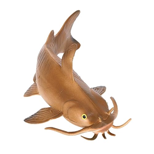 Totority Fake Model Fischspielzeug Realistisches Dekorationsspielzeug für Lernspielzeug für Naturwissenschaften Sicher und Langlebig für Zuhause und Büro Totority Fake Model Fischspielzeug Realistisches Dekorationsspielzeug für Lernspielzeug für Naturwissenschaften Sicher und Langlebig für Zuhause und Büro von Totority