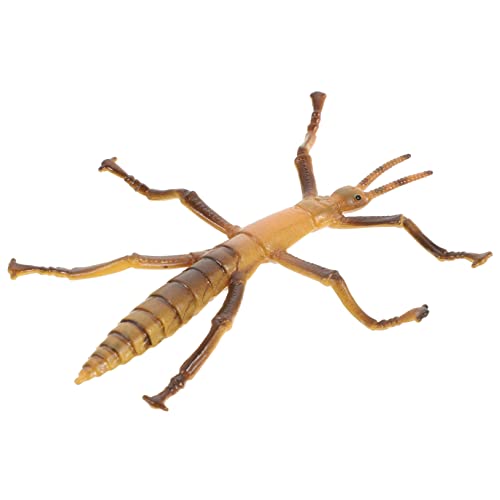Totority Lustiges Lernspielzeug Realistisches Modell Eines Bockkäfers aus Kunststoff für Pädagogisches Kognitiven Fähigkeiten und Entdeckung der Insektenwelt Totority Lustiges Lernspielzeug Realistisches Modell Eines Bockkäfers aus Kunststoff für Pädagogisches Kognitiven Fähigkeiten und Entdeckung der Insektenwelt von Totority