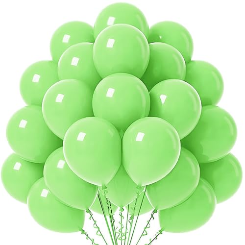 Tourima 20 Stück 10 Zoll Macarons Luftballons Grün, Grüne Luftballons für Geburtstag Luftballons Hochzeit Verlobung Babyparty Dekoration Jugendweihe, Helium Gasflasche für Luftballon Grün Tourima 20 Stück 10 Zoll Macarons Luftballons Grün, Grüne Luftballons für Geburtstag Luftballons Hochzeit Verlobung Babyparty Dekoration Jugendweihe, Helium Gasflasche für Luftballon Grün von Tourima