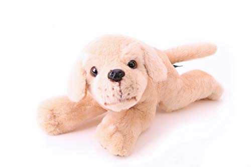 Toyland Crufts 10 ″ Kuscheliger Plüsch Kuscheltier Hund (Labrador) von Toyland