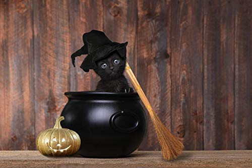 toynk Gruselige Kitty, Halloween-Puzzle mit schwarzer Katze, 1000 Teile von Toynk