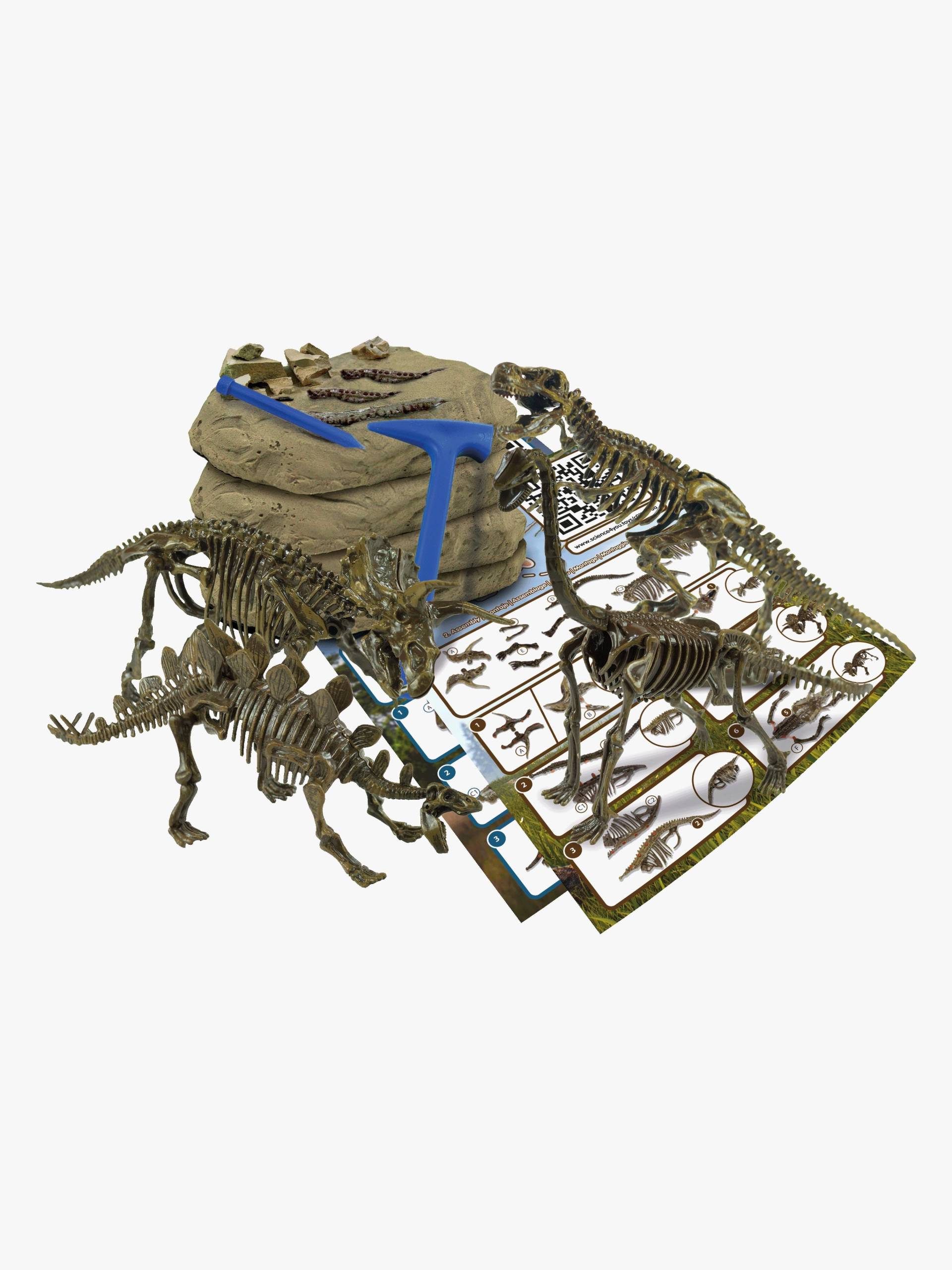 Toyrock Stem Fossilien Ausgrabungsset 4-in-1 Toyrock Stem Fossilien Ausgrabungsset 4-in-1 von Toyrock