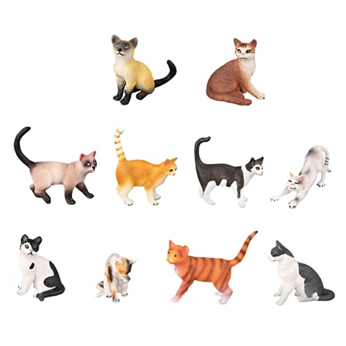 10Stücke Teiliges Katzenmodell für Tierische Figuren und Katzen Dekorationen Perfektes und Lehrmittel für Katzenliebhaber für Geburtstagsgeschenke und Fotodekorationen von Toyvian