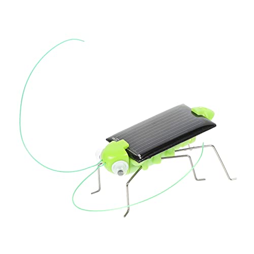 Realistische Simulation für Pädagogisches Stem Wissenschaft und Kreativität im Freien von Toyvian