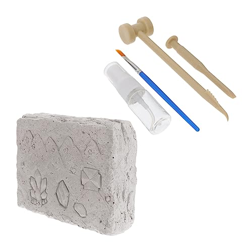 Toyvian 1 Satz Archäologisches kinderspielzeug für + deutzie discove für Steinkollektion zum Graben von Mineralsteinen Gips Weiß Toyvian 1 Satz Archäologisches kinderspielzeug für + deutzie discove für Steinkollektion zum Graben von Mineralsteinen Gips Weiß von Toyvian