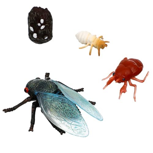 Toyvian 1 Satz Cicada Lebenszyklus Figuren Teiliges Lernspielzeug für Sichere Materialien als Goodie Bag Füller Realistische Farben Vielseitig Einsetzbar für Unterricht und Dekoration von Toyvian