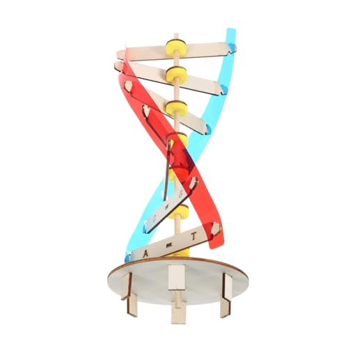 Toyvian 1 Satz DNA - Modell holzspielzeug Rad zappeln Experiment federnd Cool Wissenschaftsmodell wissenschaftliches Lernspielzeug wissenschaftliches Molekularmodell DIY - Lernwerkzeug hölzern Toyvian 1 Satz DNA - Modell holzspielzeug Rad zappeln Experiment federnd Cool Wissenschaftsmodell wissenschaftliches Lernspielzeug wissenschaftliches Molekularmodell DIY - Lernwerkzeug hölzern von Toyvian