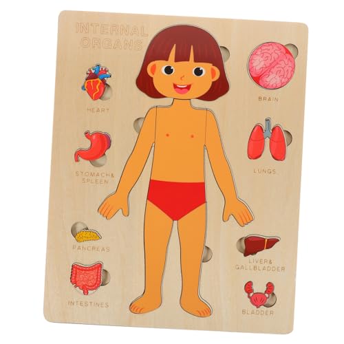 Toyvian 1 Satz Puzzle zur Struktur des menschlichen Körpers Kinder rätsel Anatomie-Puzzlespiel Blockrätsel Modelle Spielzeug Menschlicher Körper Puzzle für Kinder Holzorgeln-Rätsel hölzern von Toyvian
