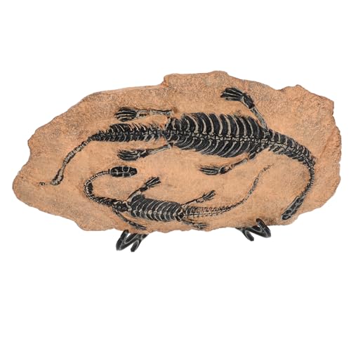 Toyvian 1 Satz Dinosaurier Fossil Modell Realistische Dekofigur Hochwertigem Harz Einzigartiges Sammlerstück für Garten und Lehrreiches für Dinosaurier Fans Toyvian 1 Satz Dinosaurier Fossil Modell Realistische Dekofigur Hochwertigem Harz Einzigartiges Sammlerstück für Garten und Lehrreiches für Dinosaurier Fans von Toyvian