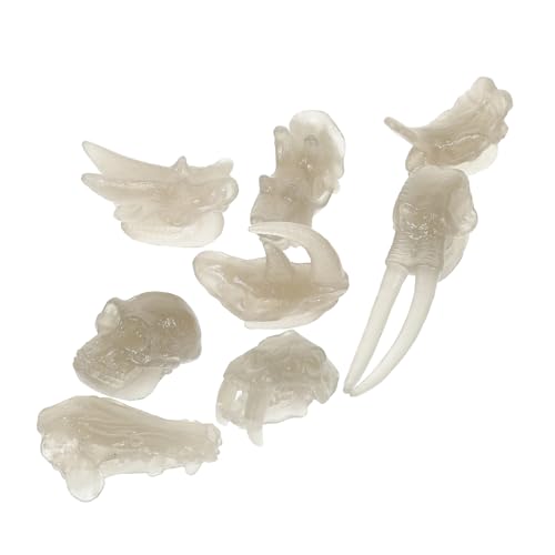 Toyvian Dinosaurier-schädel-Modell Spielzeug Kinder Pädagogisches Spielzeug Im Dunkeln Leuchtend Sicheres PVC-Material von Toyvian