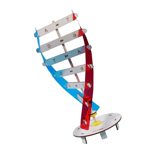 Toyvian 1 Satz Genmodell lernspielzeug Science Toys Wissenschaftliches wissenschaftlicher DNA-modellbausatz wissenschaftliches Molekularmodell Lehrmittel Holz Colorful Toyvian 1 Satz Genmodell lernspielzeug Science Toys Wissenschaftliches wissenschaftlicher DNA-modellbausatz wissenschaftliches Molekularmodell Lehrmittel Holz Colorful von Toyvian