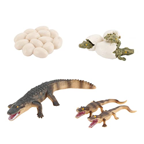 Toyvian 1 Satz Krokodil-wachstums Zyklus Alligator- Insekt Roboter Kinderspielzeug Tierische Tischplatte Lernspielzeug Für Tiere Frösche Bildungsspielzeug PVC Toyvian 1 Satz Krokodil-wachstums Zyklus Alligator- Insekt Roboter Kinderspielzeug Tierische Tischplatte Lernspielzeug Für Tiere Frösche Bildungsspielzeug PVC von Toyvian