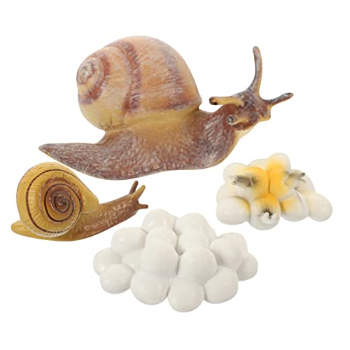 Toyvian 1 Satz Metamorphosezyklus der Schnecke Mini-Plastiktiere Insektenspielzeug Kinderanzug Montessori-Lebenszyklus-Figur Mikrolandschaftsdekoration realistische Schneckenfiguren Puzzle von Toyvian