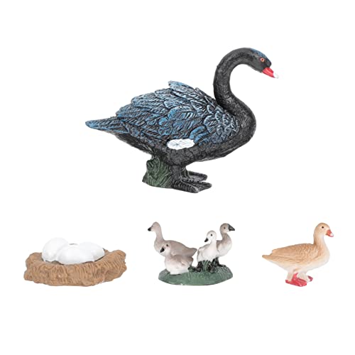 Toyvian Gänsemodell Spielzeug für Kinder Lebenszyklus Schwanenfiguren Kognitives Lernspielzeug aus Kunststoff Realistische Tiermodelle für Kleinkinder für Kreative Spielideen Toyvian Gänsemodell Spielzeug für Kinder Lebenszyklus Schwanenfiguren Kognitives Lernspielzeug aus Kunststoff Realistische Tiermodelle für Kleinkinder für Kreative Spielideen von Toyvian