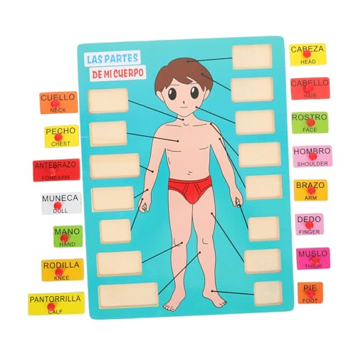 Toyvian 1 Satz Spanisch Puzzle Kindergartenunterricht Menschlicher Körper Organe Puzzle Pädagogisches Puzzle Spielzeug Spielzeug Für Frühes Lernen Holz Körperteile Puzzles von Toyvian