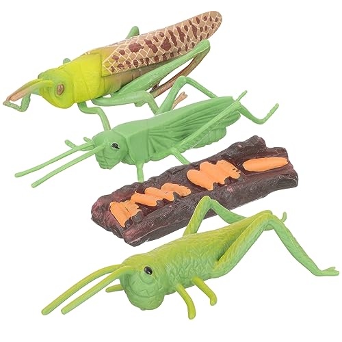 Toyvian 1 Satz Wachstumszyklus der Heuschrecke biologische Figur Heuschrecken-Lebenszyklusmodell Modell des Tier Kinderspielzeug Lernspielzeug für Kinder Frosch Requisiten Plastik von Toyvian