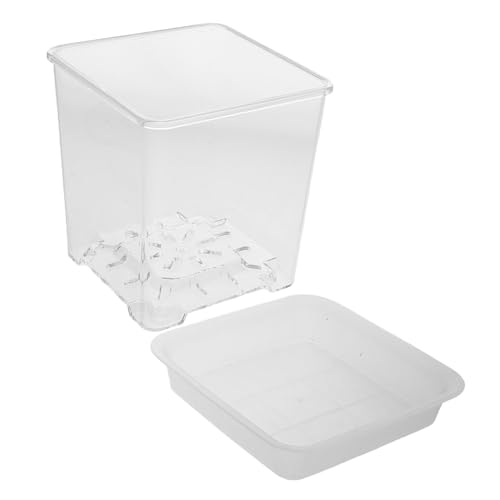 Toyvian 1 Set Mini Blumentöpfe Pflanzen Durchsichtige Töpfe Pflanzgefäß Für Kinderzimmer Durchsichtige Selbstbewässernde Töpfe Pflanzgefäße Mit Drainagekopf Pflanzgefäß Toyvian 1 Set Mini Blumentöpfe Pflanzen Durchsichtige Töpfe Pflanzgefäß Für Kinderzimmer Durchsichtige Selbstbewässernde Töpfe Pflanzgefäße Mit Drainagekopf Pflanzgefäß von Toyvian