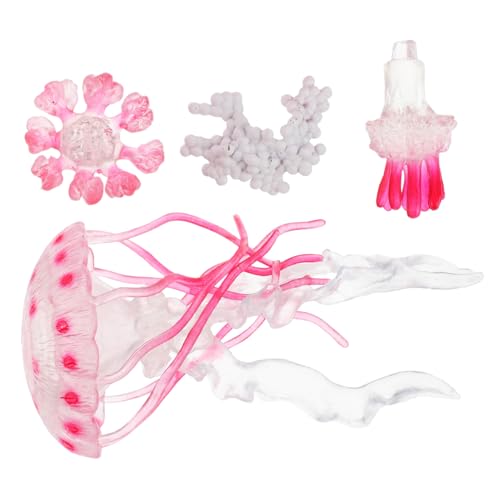 Toyvian 1 Set Quallen Ornamente Spielzeuglebenszyklus Figuren Wachsen Tiere Für Kleine Ozeiere Tierfiguren Meer Tier Figuren Mini Meerestiere Figuren Kinderwissenschaft Kit Plastik Toyvian 1 Set Quallen Ornamente Spielzeuglebenszyklus Figuren Wachsen Tiere Für Kleine Ozeiere Tierfiguren Meer Tier Figuren Mini Meerestiere Figuren Kinderwissenschaft Kit Plastik von Toyvian