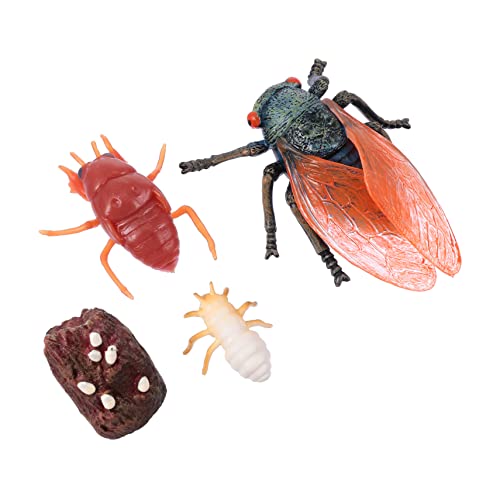 Toyvian 1 Set Wachstumszyklus Simulierte Tiere Schwanen Spielzeugfigur Lebenszyklus Tiermodelle Kinderspielzeug Kinderspielzeug Lehrmittel Gartendekoration Foto Requisiten Toyvian 1 Set Wachstumszyklus Simulierte Tiere Schwanen Spielzeugfigur Lebenszyklus Tiermodelle Kinderspielzeug Kinderspielzeug Lehrmittel Gartendekoration Foto Requisiten von Toyvian