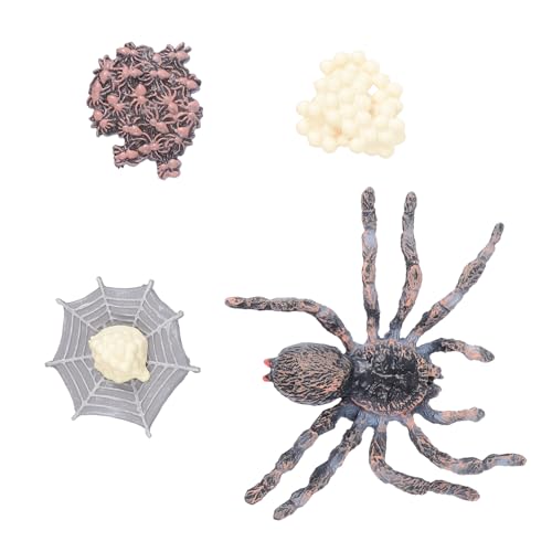 Toyvian 1 Set Wachstumszyklus Spielzeugspinnen Für Lebenszyklus Der Spinne Lebenszyklus Von Figuren Lebenszyklus Modell Spinnenspielzeug Plüsch Lehrmittel Gartendekoration Toyvian 1 Set Wachstumszyklus Spielzeugspinnen Für Lebenszyklus Der Spinne Lebenszyklus Von Figuren Lebenszyklus Modell Spinnenspielzeug Plüsch Lehrmittel Gartendekoration von Toyvian