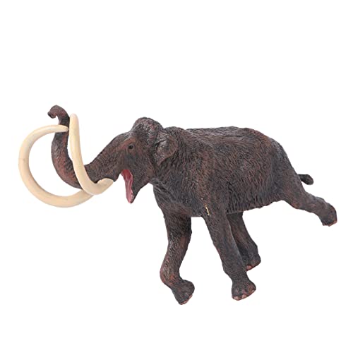 Toyvian Lernspielzeug 1 Stück Ornament Für Jungen Und Mädchen Realistisches Tier Für Fantasievolles Spielen Und Dekorationen Für Jungen Und Mädchen Toyvian Lernspielzeug 1 Stück Ornament Für Jungen Und Mädchen Realistisches Tier Für Fantasievolles Spielen Und Dekorationen Für Jungen Und Mädchen von Toyvian