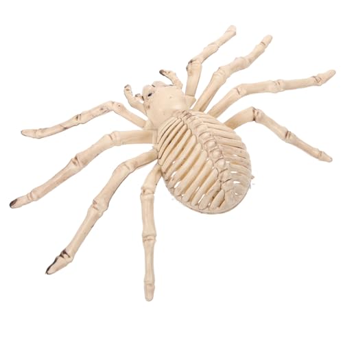 Toyvian 1 Stück Halloween-Skelett-Geist-Spinnen-Skelett Bettdecke Spinnenskelett Stütze Figuren Halloween-spinnendekoration Halloween- Maske Spinnennetz-umhang Plastik Beige Toyvian 1 Stück Halloween-Skelett-Geist-Spinnen-Skelett Bettdecke Spinnenskelett Stütze Figuren Halloween-spinnendekoration Halloween- Maske Spinnennetz-umhang Plastik Beige von Toyvian