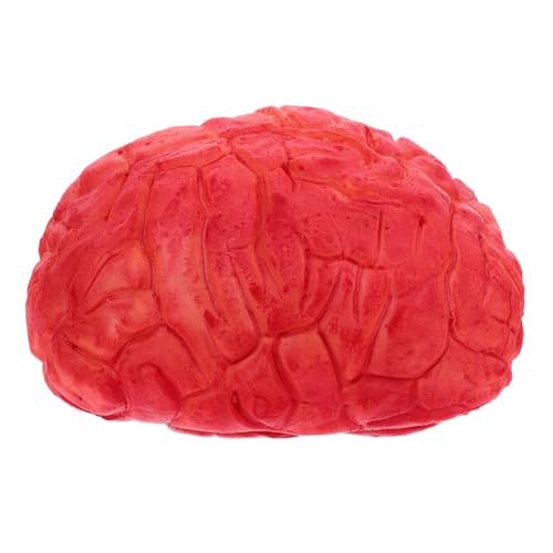Toyvian 1 Stück Halloween-simulations-gehirn Beängstigend Teil Netz Körper Halloween-gehirn Organe Realistisch Halloween-Fake-gehirn Party Drinnen Halloween-Requisiten Trick Rot Vinyl Toyvian 1 Stück Halloween-simulations-gehirn Beängstigend Teil Netz Körper Halloween-gehirn Organe Realistisch Halloween-Fake-gehirn Party Drinnen Halloween-Requisiten Trick Rot Vinyl von Toyvian