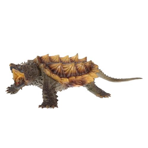 Toyvian 1 Stück Schnappschildkröte Modell Schnappschildkröte Figur Wohnkultur Mini Schnappschildkröte Figuren Mini Landschaft Ornament Schnappschildkröte Tiere Figur Kunststoff Toyvian 1 Stück Schnappschildkröte Modell Schnappschildkröte Figur Wohnkultur Mini Schnappschildkröte Figuren Mini Landschaft Ornament Schnappschildkröte Tiere Figur Kunststoff von Toyvian