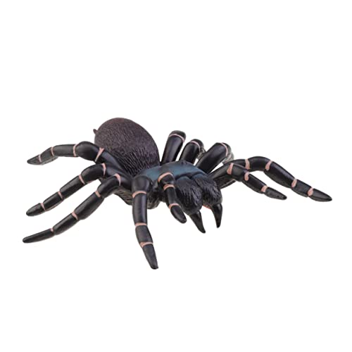 Toyvian 1 Stück Simulationsspinne Halloween Halloween Toys Tierfigur Halloween Reptilien Spinnen-Halloween-Dekoration Spinnendekorationen Plastik Black Toyvian 1 Stück Simulationsspinne Halloween Halloween Toys Tierfigur Halloween Reptilien Spinnen-Halloween-Dekoration Spinnendekorationen Plastik Black von Toyvian