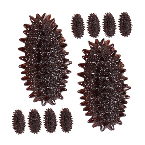 Toyvian 10stücke Realistische Mini-seegurken-Modelle Aus PVC Simulierte Meeresfrüchte Für Dekoration Und Bildungszwecke Restaurant-displays Und Fotografie Toyvian 10stücke Realistische Mini-seegurken-Modelle Aus PVC Simulierte Meeresfrüchte Für Dekoration Und Bildungszwecke Restaurant-displays Und Fotografie von Toyvian