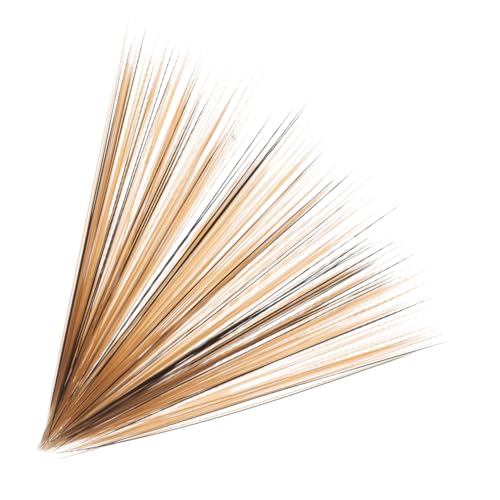Toyvian 100St Simulierte Katzenschnurrhaare bastelbedarf sensorische Partygeschenke abbrechbare Schnallen Gold Sammlung von Katzenschnurrhaaren Schnurrhaare zum Basteln Plastik Light Brown Toyvian 100St Simulierte Katzenschnurrhaare bastelbedarf sensorische Partygeschenke abbrechbare Schnallen Gold Sammlung von Katzenschnurrhaaren Schnurrhaare zum Basteln Plastik Light Brown von Toyvian