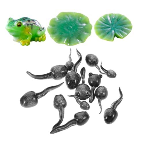 Toyvian 16Stücke Mini Frosch Figuren aus Harz Teiliges Deko für Feengärten Terrarien und Mooslandschaften Miniaturaccessoires für Kreative DIY Projekte und Natürliche von Toyvian
