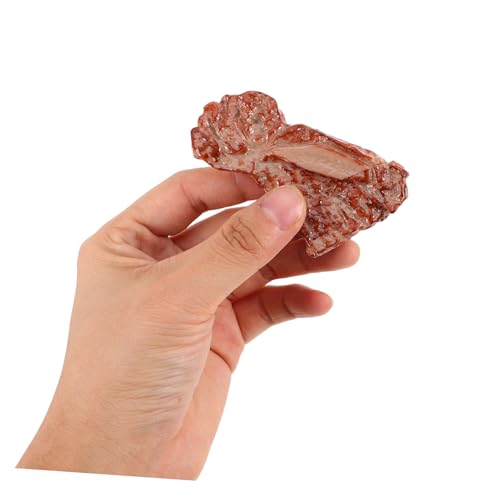 Toyvian 18 Stück Teiliges Realistische Fake Food Modelle aus Kunststoff Detailgetreue Simulation von Fleisch für Fotografie Requisiten Küchendekoration und Restaurantdisplay für Sammler Toyvian 18 Stück Teiliges Realistische Fake Food Modelle aus Kunststoff Detailgetreue Simulation von Fleisch für Fotografie Requisiten Küchendekoration und Restaurantdisplay für Sammler von Toyvian