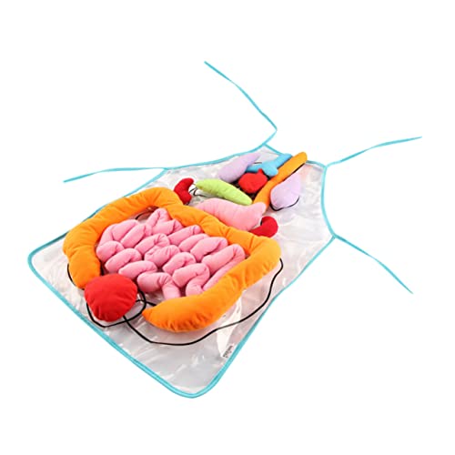 Toyvian 1Satz Schürze zur Kognitiven Anatomisches Lernspielzeug für Vorschulkinder Transparent aus Langlebigem für Unterricht Toyvian 1Satz Schürze zur Kognitiven Anatomisches Lernspielzeug für Vorschulkinder Transparent aus Langlebigem für Unterricht von Toyvian