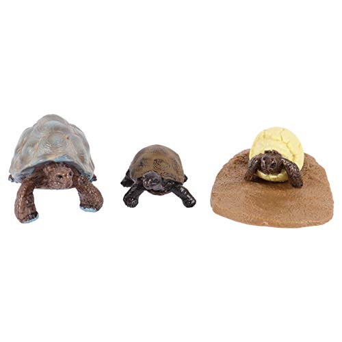 Toyvian 1Satz Teiliges Schildkröte Lebenszyklus Modell Kognitive Figuren für Pädagogisches Lernfähigkeiten Realistische Tierfiguren für Kreatives Toyvian 1Satz Teiliges Schildkröte Lebenszyklus Modell Kognitive Figuren für Pädagogisches Lernfähigkeiten Realistische Tierfiguren für Kreatives von Toyvian