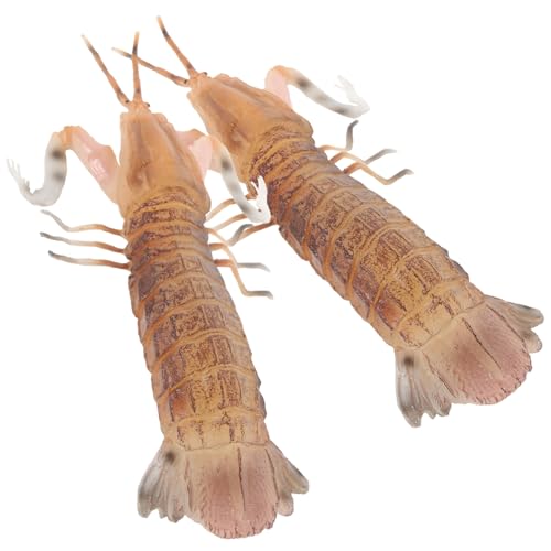 Toyvian 2 STK Simulationsgarnelenmodell Realistische Garnelen Gefälschtes Garnelenmodell Lebensechte Garnelen Lebensechtes Garnelenmodell Simulierte Garnelen Künstliches Garnelenmodell PVC Toyvian 2 STK Simulationsgarnelenmodell Realistische Garnelen Gefälschtes Garnelenmodell Lebensechte Garnelen Lebensechtes Garnelenmodell Simulierte Garnelen Künstliches Garnelenmodell PVC von Toyvian