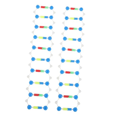 Toyvian 2stücke DNA Modellbausatz Für Schulunterricht Doppelhelix Strukturmodell Biologisches Lehrmittel Zur Veranschaulichung Von Und DNA Für Praktische Experimente Und von Toyvian