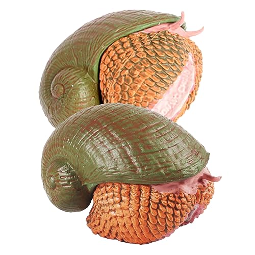 Toyvian 2 Stücke Realistische Simulation Schneckenfiguren für Kinder Interaktive Spielzeuge Lernspielzeug für Tiermodelle Dekoration für Garten und Schreibtisch Toyvian 2 Stücke Realistische Simulation Schneckenfiguren für Kinder Interaktive Spielzeuge Lernspielzeug für Tiermodelle Dekoration für Garten und Schreibtisch von Toyvian