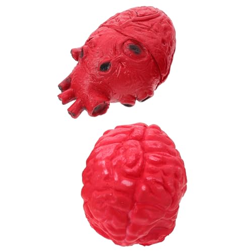 Toyvian 2 Stück Teiliges Halloween Gruselige Scherzartikel Simulation von Menschlichen Organen Kunstherz und für Spukhaus Dekorationen und Kostümparty Toyvian 2 Stück Teiliges Halloween Gruselige Scherzartikel Simulation von Menschlichen Organen Kunstherz und für Spukhaus Dekorationen und Kostümparty von Toyvian