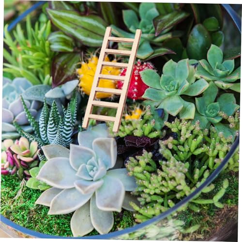 Toyvian 20 Stück Teiliges Mini holzleitern für Puppenhaus DIY Dekoration Realistische Miniatur Treppen für Feengarten Sukkulenten und Sandgarten Vielseitige Accessoires für Kreative Toyvian 20 Stück Teiliges Mini holzleitern für Puppenhaus DIY Dekoration Realistische Miniatur Treppen für Feengarten Sukkulenten und Sandgarten Vielseitige Accessoires für Kreative von Toyvian