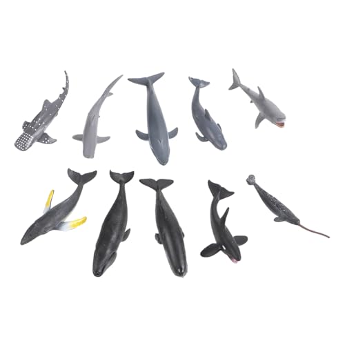 Toyvian 24 Stück Tiermodell Simulation Wal Figur Ozeantier Figur Meeresdekoration Aquarienverzierung Modell Eines Meeresbewohners Plastik Toyvian 24 Stück Tiermodell Simulation Wal Figur Ozeantier Figur Meeresdekoration Aquarienverzierung Modell Eines Meeresbewohners Plastik von Toyvian