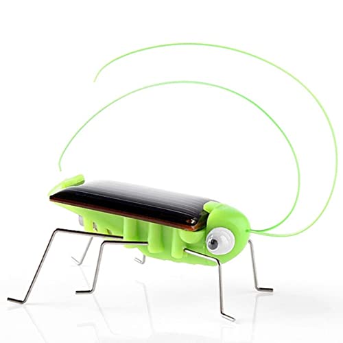 Toyvian 2st Heuschrecke Garten Decor Spielzeug Insekten Bugs Licht Bugs Spielzeug Solar-grashüpfer-Spielzeug Insekten Bugs Spielzeug Kunststoff Bug Spielzeug Kinder Bug Spielzeug Kricket von Toyvian