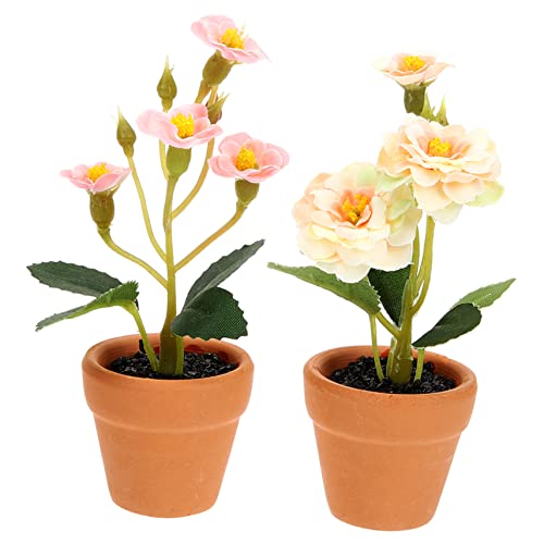 Toyvian 2st Simulierte Topfpflanzen Miniatur Blumentopfmodell Miniatur-Bonsai Kleiner Bonsai Kleine Topfpflanze Kleiner Pflanzentopf Mini-blumentopf Mini-topfpflanze Blumentopf Aus Keramik Toyvian 2st Simulierte Topfpflanzen Miniatur Blumentopfmodell Miniatur-Bonsai Kleiner Bonsai Kleine Topfpflanze Kleiner Pflanzentopf Mini-blumentopf Mini-topfpflanze Blumentopf Aus Keramik von Toyvian