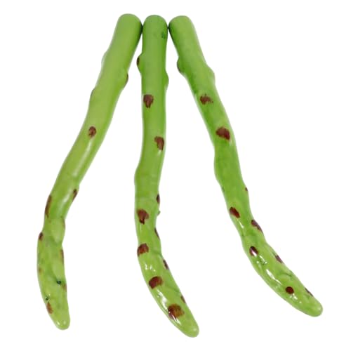 Toyvian 3 Teiliges Simulationsspargelmodell Heimdekoration Künstliche Lebensmittel Requisiten Kunstgemüse Simulationsrequisite Nachahmung Von Gemüse Lebensechter Spargel Nachahmung Toyvian 3 Teiliges Simulationsspargelmodell Heimdekoration Künstliche Lebensmittel Requisiten Kunstgemüse Simulationsrequisite Nachahmung Von Gemüse Lebensechter Spargel Nachahmung von Toyvian