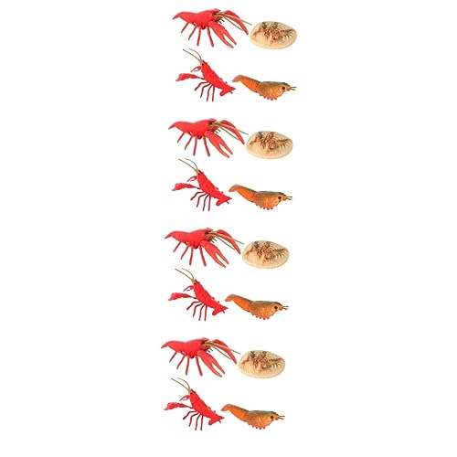 Toyvian 4 Sets Simuliertes Lehrspielzeug Simulationsfiguren Figuren Pädagogisches Kognitives Kreatives Krebstier Wachsendes Hummerleben Biologisches Meer Mit Realistischer von Toyvian