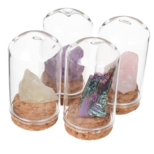 Toyvian 4 Stück Ausstellungskuppel halbedelsteine Glashaube Mini-Cloche Glasglocke mit Sockel kleine Glaskuppel kleine Glocke Halloween-Glaskuppel Glocke Glaskuppel Kristall Toyvian 4 Stück Ausstellungskuppel halbedelsteine Glashaube Mini-Cloche Glasglocke mit Sockel kleine Glaskuppel kleine Glocke Halloween-Glaskuppel Glocke Glaskuppel Kristall von Toyvian